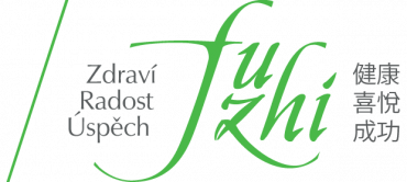 logo-FUZHI-2021_cz_620